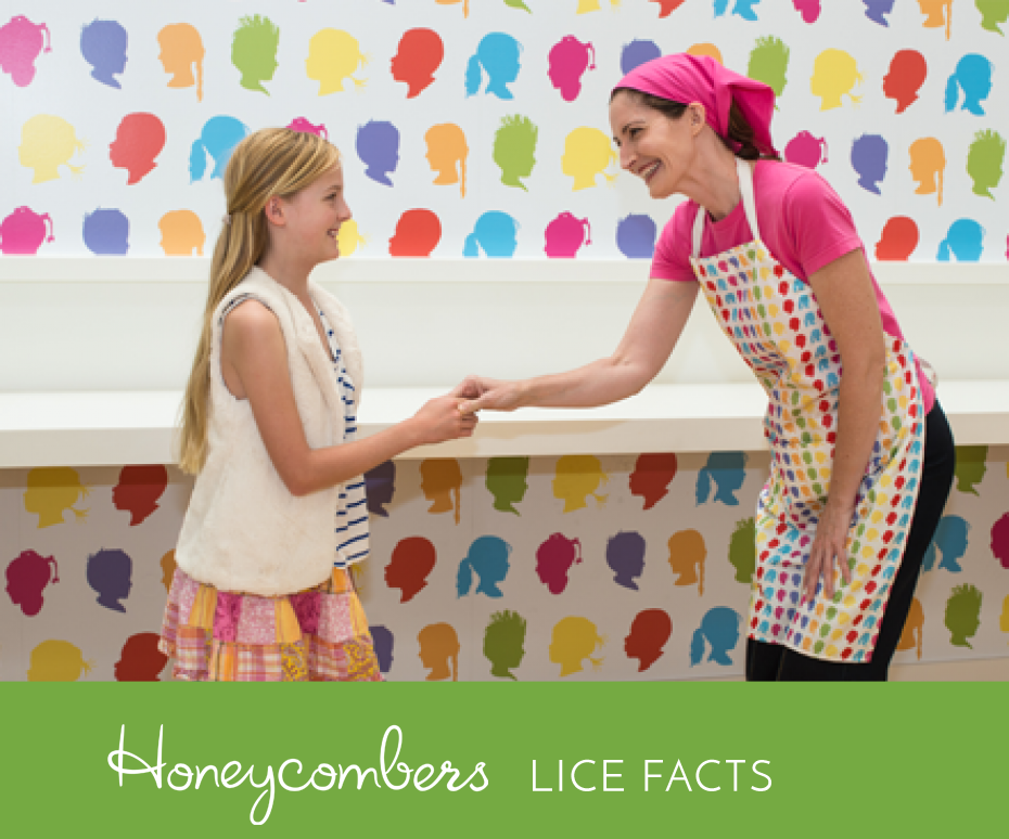 Lice Facts